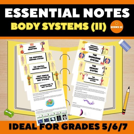 Body Systems (II)- Essential Notes Bundle