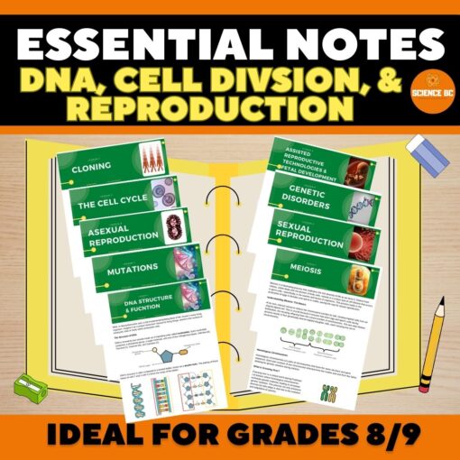 DNA, Reproduction, and Cell Division- Essential Notes Bundle