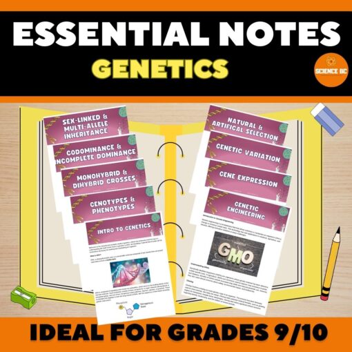 Genetics- Essential Notes Bundle