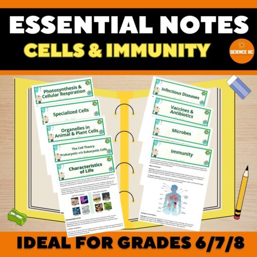 *Cells and Immunity - MEGA BUNDLE - Image 2